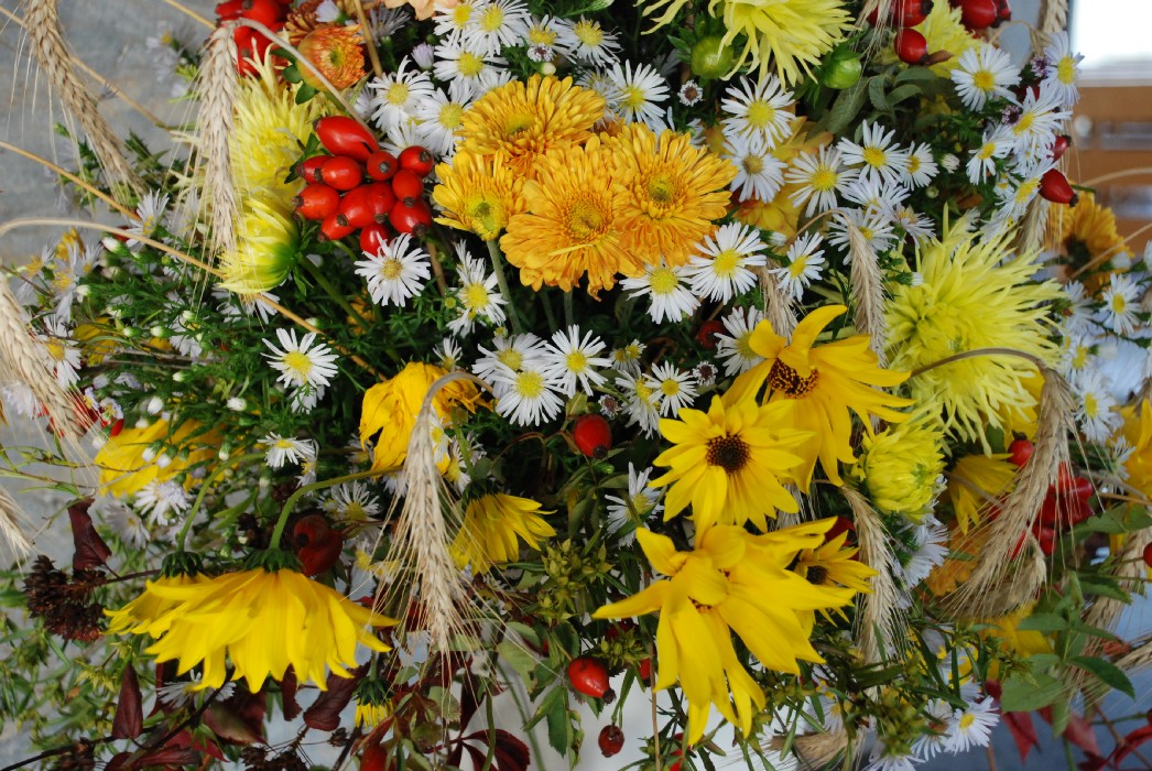 Wombach - Bild 12