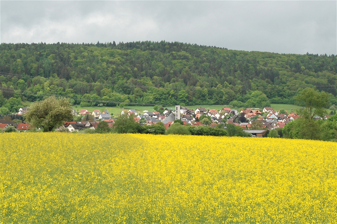 mein Wombach