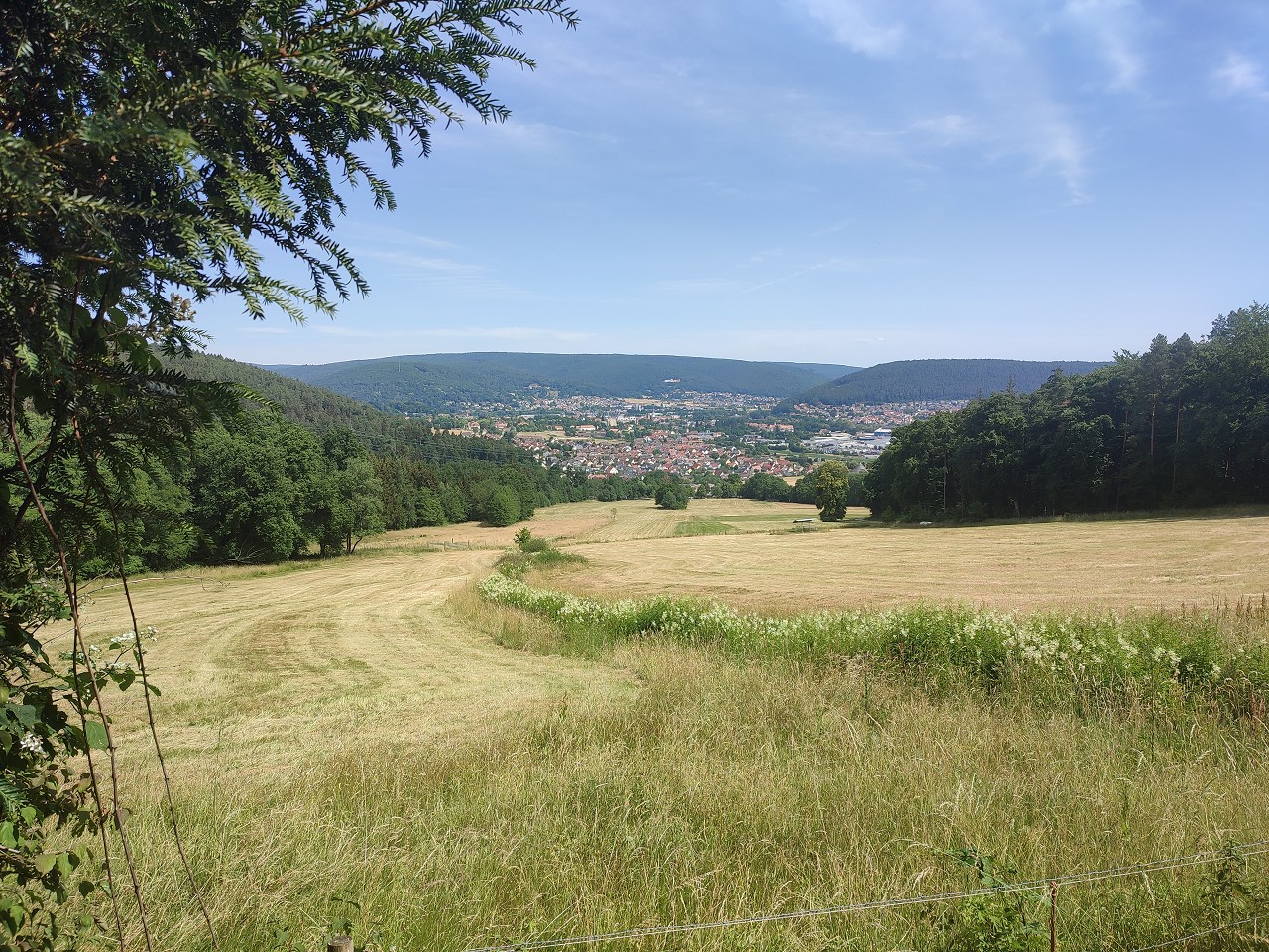 mein Wombach