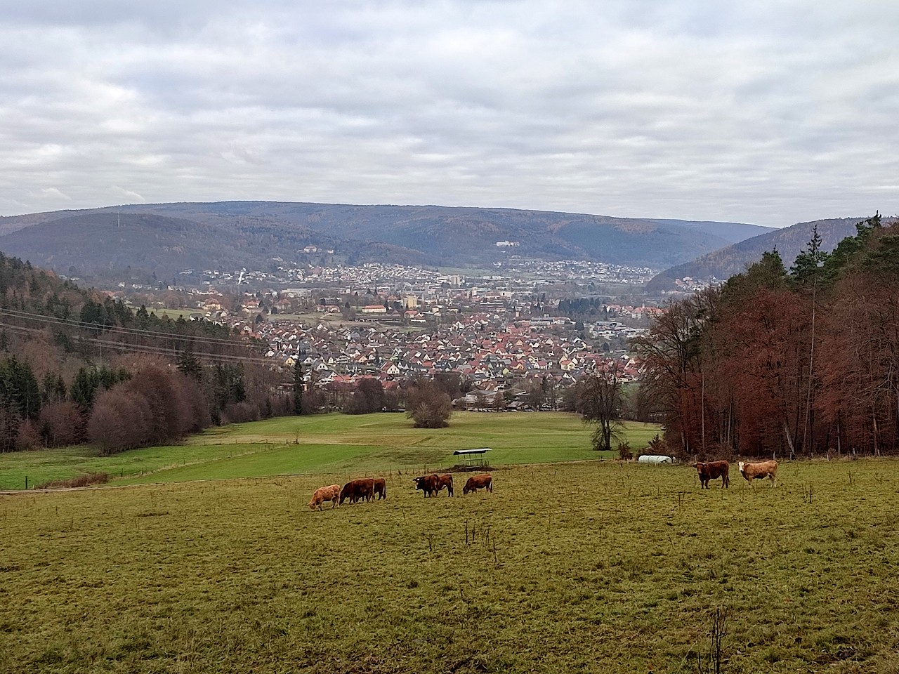 mein Wombach