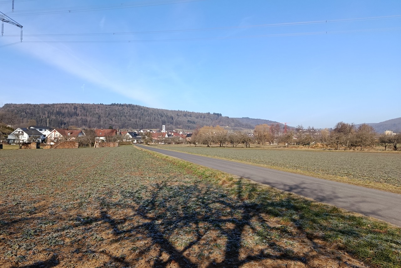 mein Wombach