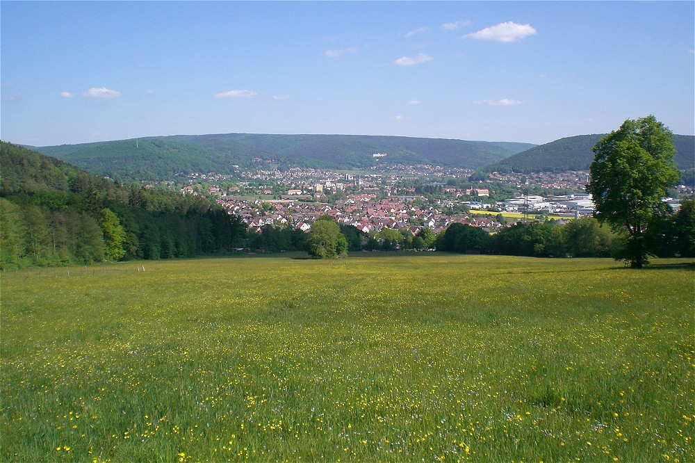 mein Wombach